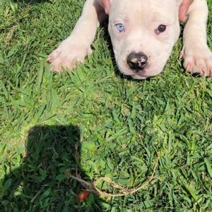 Meet your Posher, Ernest